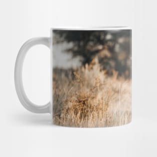 South African Springbok Mug